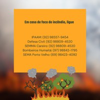 Incêndios florestais na Amazônia: riscos e prevenção na área da BR-319