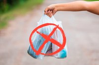 Para além do descarte: o desafio de viver sem sacolas plásticas