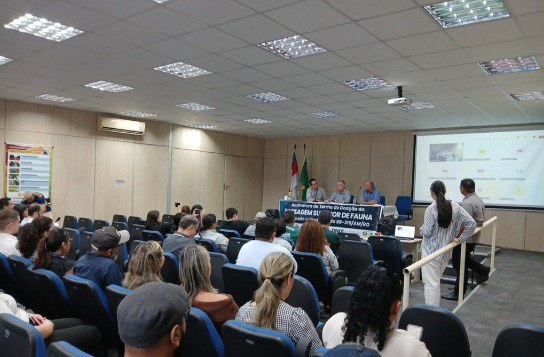 WhatsApp Image 2025-07-11 at 11.42.02.jpeg