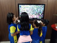 Prevenção de colisão e proteção da fauna silvestre na exposição Florestas