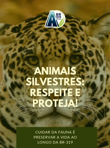 image008 (1).png