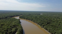 Unidades de Conservação ao longo da BR-319 protegem a floresta e garantem o uso responsável do território