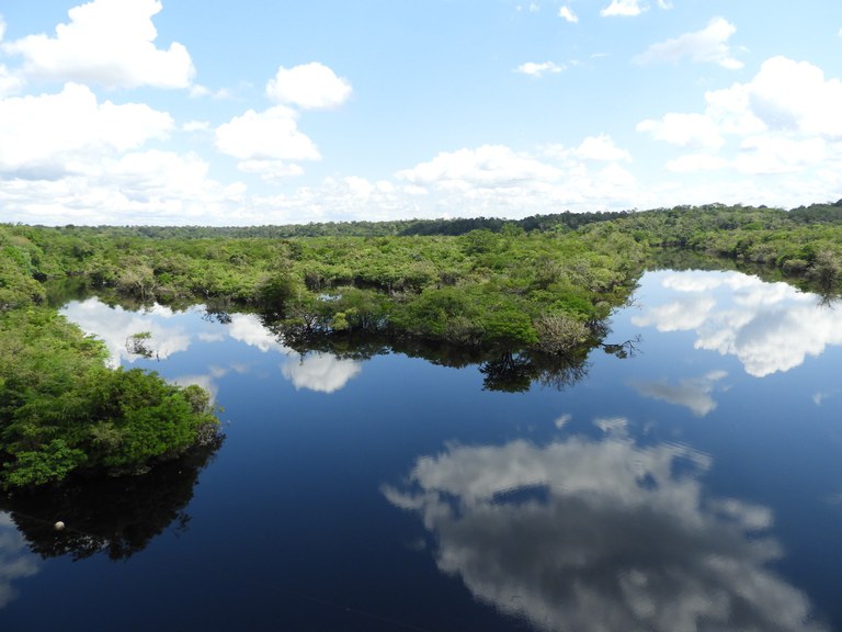 Lago as margens da BR-319.JPG