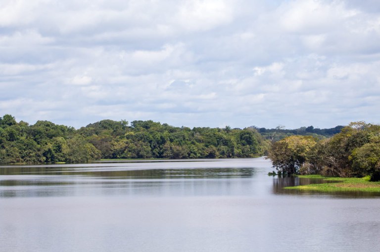 Rio Castanho - Careiro-AM.jpeg