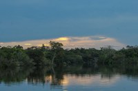 Você conhece as Unidades de Conservação próximas à BR-319?