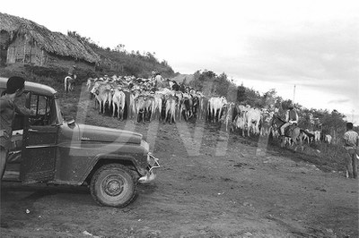 BR_5 Eunápolis_Jequitinhonha _ 31709.jpg