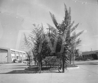Festa Junina no Centro Rodoviario 28 Jun 1957_AP26073.jpg