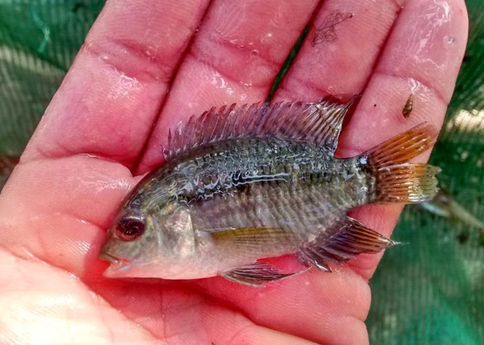 WhatsApp Image 2022-08-11 at 13.16.49 (1).jpeg