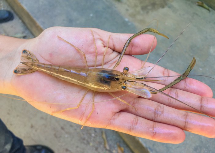 WhatsApp Image 2022-08-11 at 13.16.49.jpeg