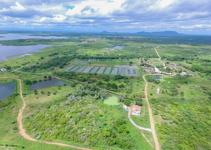 WhatsApp Image 2022-08-11 at 13.17.51.jpeg