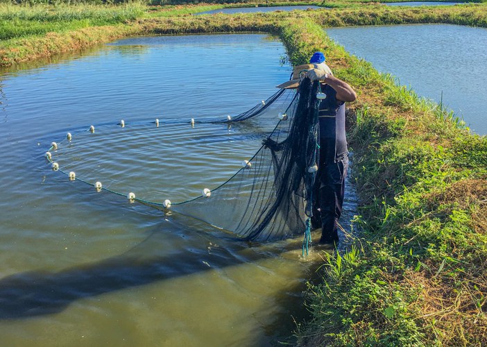 WhatsApp Image 2022-08-11 at 13.22.58.jpeg