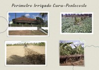 Perímetro Irrigado Curu-Pentecoste: uma contribuição para a história de progresso e desenvolvimento do Vale do Curu