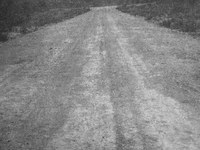 Rodovia Nordeste-Brasília: as vias para a nova capital brasileira construída pelas mãos dos nordestinos