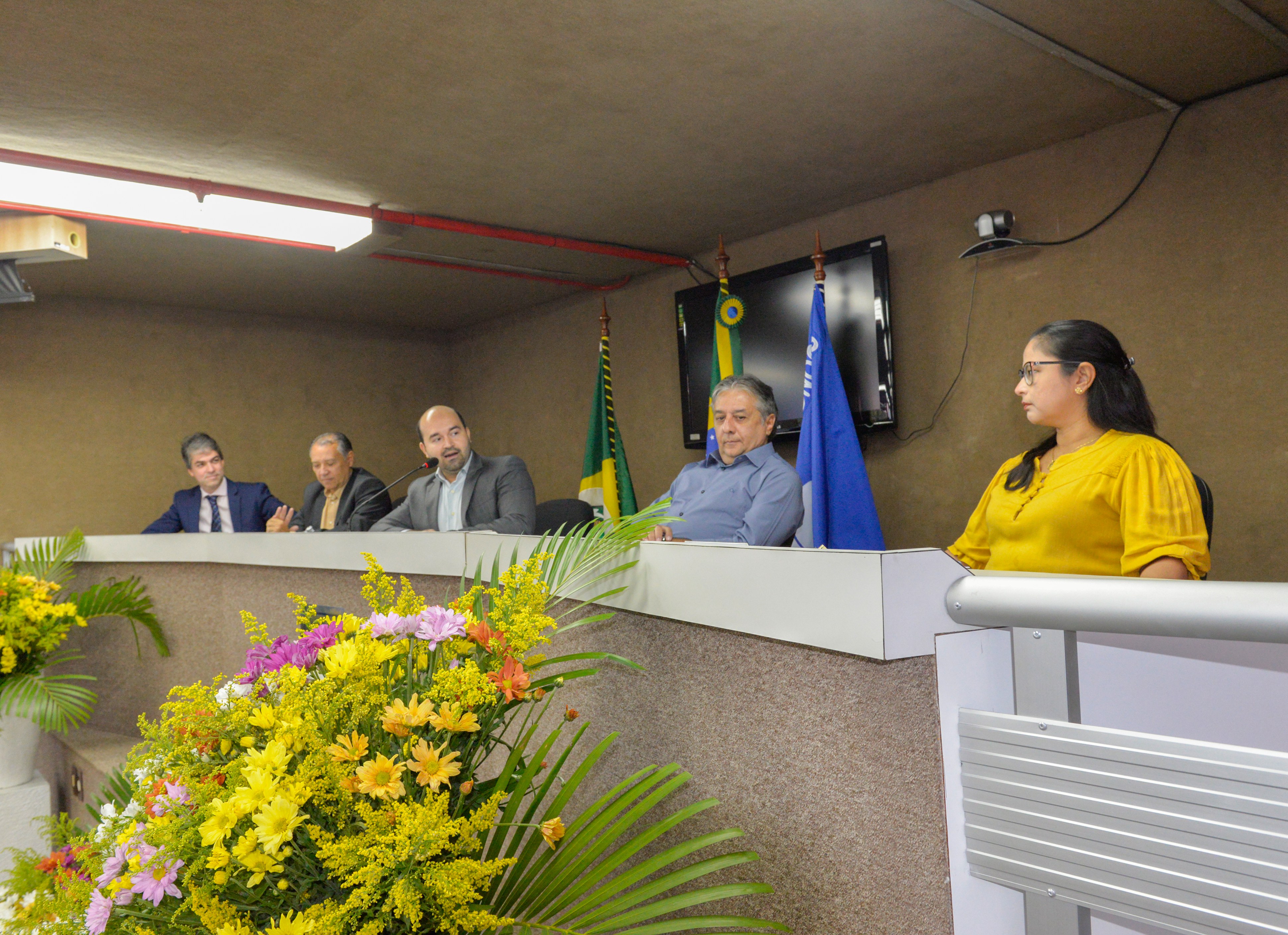 composição da mesa