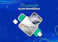 150 mil peixes foram distribuídos no Açude Beneditinos, no Piauí