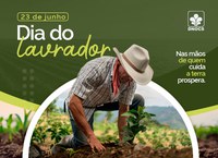 23 de Junho: Dia do Lavrador. Um amor pela terra que garante vida