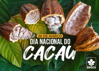 26 de março: Dia Nacional do Cacau