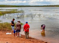 50 mil alevinos são distribuídos em dezesseis açudes no interior do Ceará