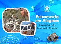 70 mil alevinos foram distribuídos pelo DNOCS no açude Limoeiro de Anadia, em Alagoas.