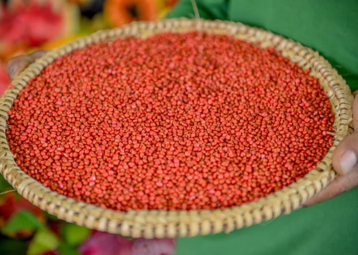 Exponova 2022 (11).jpg