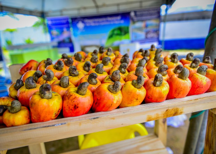 Exponova 2022 (7).jpg