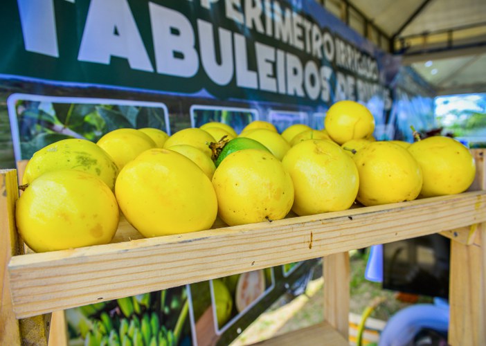 Exponova 2022 (8).jpg