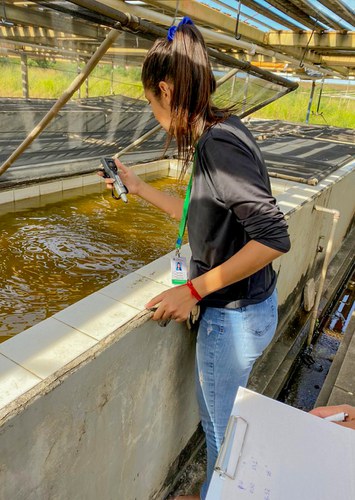 Karla Paiva - personagem 2.jpg