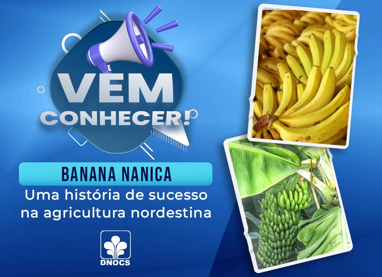 Banner-Site-Banana-Nanica.jpg