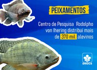 Centro de Pesquisa Rodolpho von Ihering realiza peixamentos em açudes do Ceará