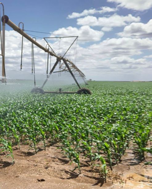 dee5d40a-12bf-4615-ab9d-249965b32589.jfif