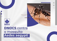 DNOCS alerta sobre cuidados para prevenir as arboviroses