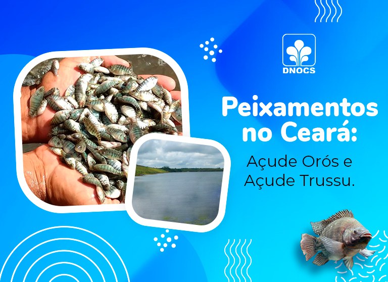 Banner-Site-Peixamentos.jpg