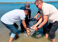 DNOCS distribui 400 mil alevinos em açudes do Rio Grande do Norte para fortalecer a pesca e a segurança alimentar