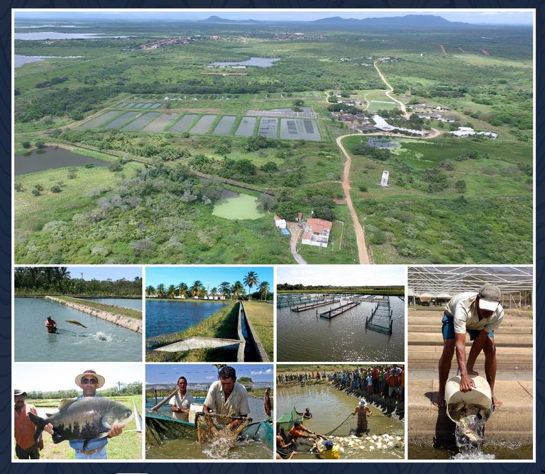 capa piscicultura.jpg