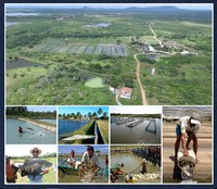 DNOCS parabeniza os pescadores pelo seu dia