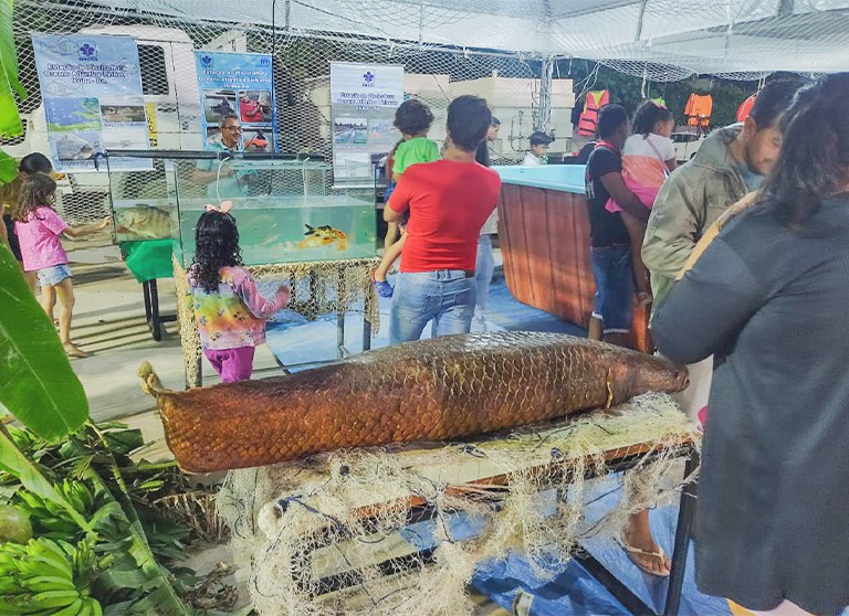 Feira Exposição BA 04 - capa.jpg