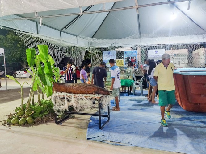 Feira Exposição BA 05.jpg