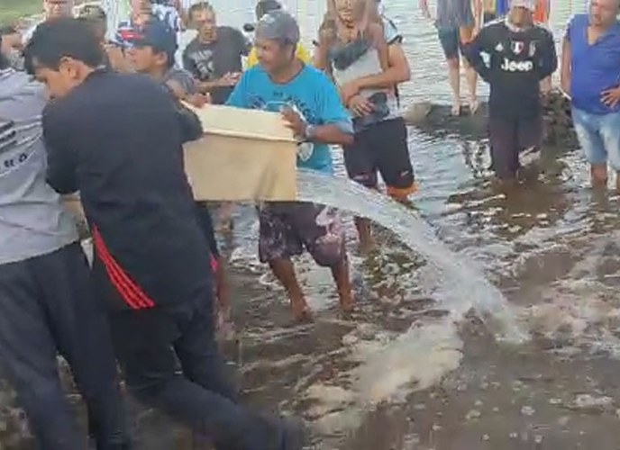 WhatsApp Image 2022-11-04 at 09.45.16.jpeg