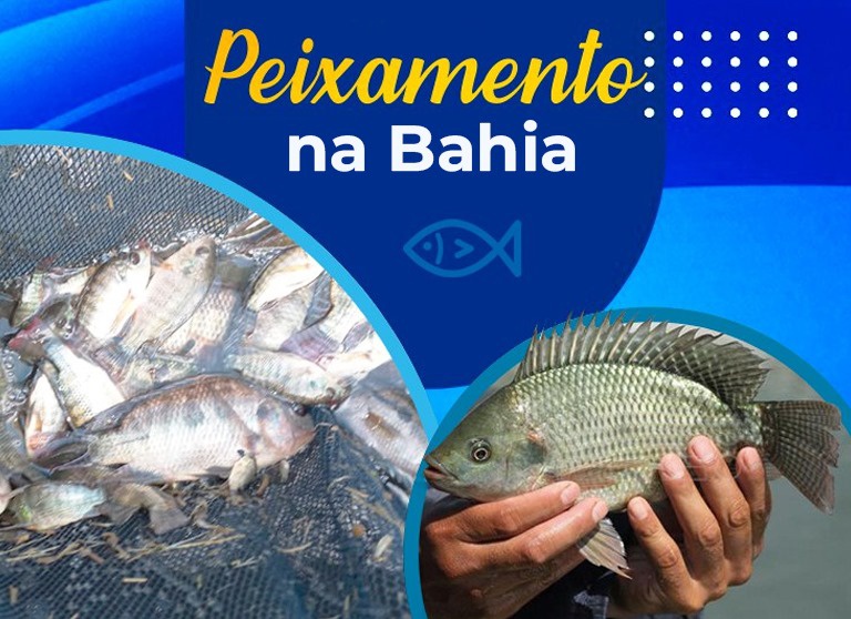 PEIXAMENTO.jpeg