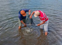 DNOCS realiza peixamento no Açude Ema em Iracema/CE