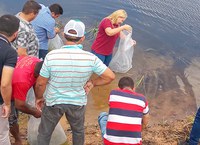 DNOCS realiza peixamentos em cinco açudes do Ceará