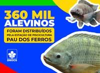 DNOCS realiza peixamentos em Umarizal e Pau dos Ferros (RN)