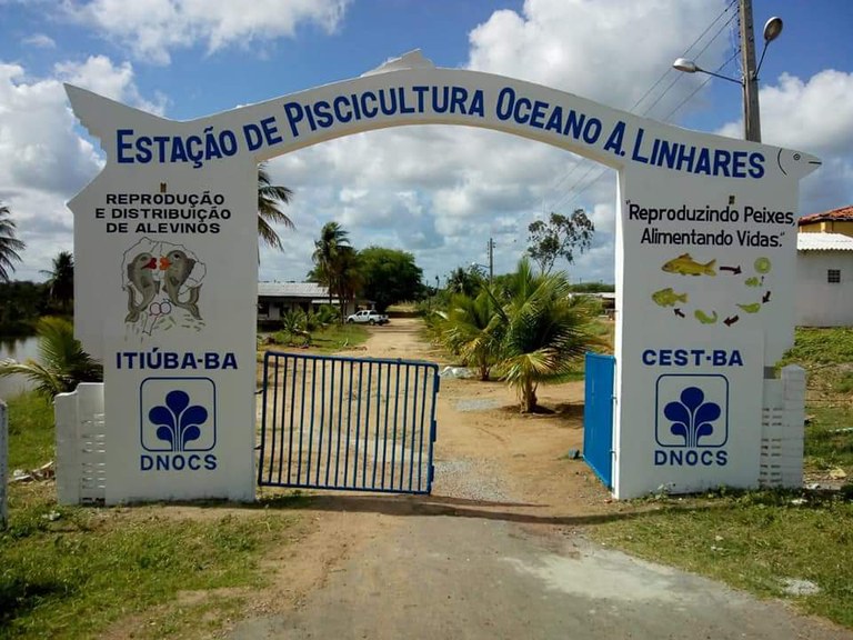 805fd7d4-120f-40a8-822e-e6ca492d4a37.jfif