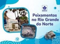 Mais de 800 mil Alevinos são entregues em açudes no Rio Grande do Norte
