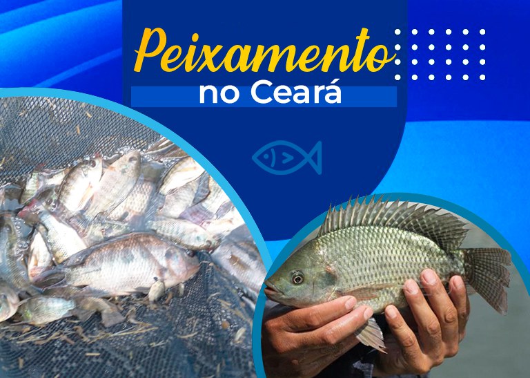 Banner-Site-Peixamentos.jpg