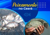 No Ceará, açudes recebem peixamento do DNOCS