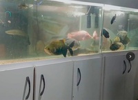  DNOCS terá mais apoio da Petrobrás para o Centro de Referência do Semi-Árido 