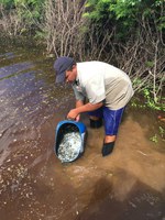  DNOCS divulga relatório sobre os efeitos de alterações climáticas em populações de tambaqui 