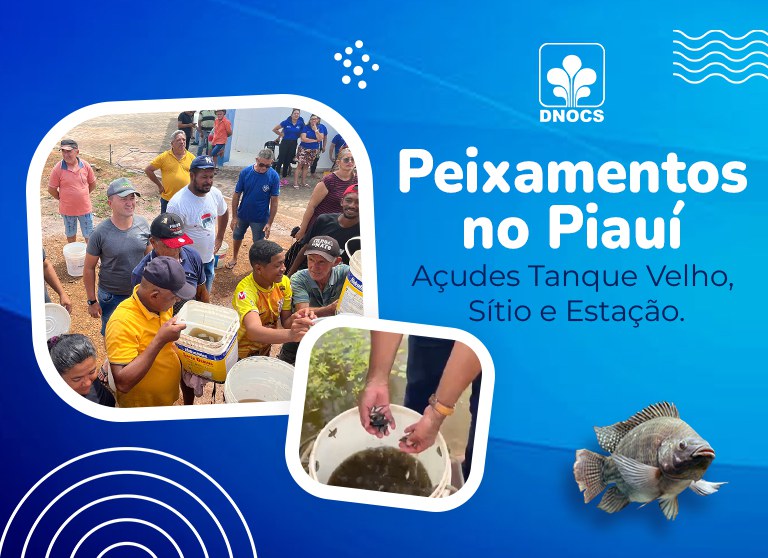 Banner-Site-Peixamentos.jpg