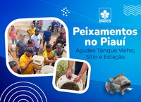 Peixamento: DNOCS revigora represas e impulsiona economia em açudes do Piauí